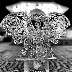 Meet your Posher, Annie